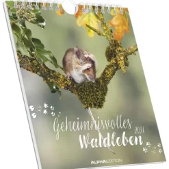 teNeues Calendars & Stationery GmbH & Co. KG Alpha Edition - Geheimnisvolles Waldleben 2026 - Postkartenkalender 16×17 cm mit 53 Naturmotiven, FSC-zertifiziert, als Tisch- & Wandkalender nutzbar, perforierte Karten zum Verschicken & Sammeln New