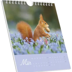 teNeues Calendars & Stationery GmbH & Co. KG Alpha Edition - Geheimnisvolles Waldleben 2026 - Postkartenkalender 16×17 cm mit 53 Naturmotiven, FSC-zertifiziert, als Tisch- & Wandkalender nutzbar, perforierte Karten zum Verschicken & Sammeln New