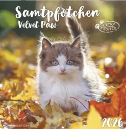 Alpha Edition - Samtpfötchen Kalender 2026 - Wandkalender & Bildkalender 30x30 cm (30x60 cm geöffnet) mit süßen Katzenmotiven, inkl. Poster, für Katzenliebhaber & Tierfreunde-teNeues Calendars & Stationery GmbH & Co. KG Online
