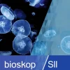 bioskop SII. Schulbuch. Allgemeine Ausgabe-Westermann Schulbuch Clearance