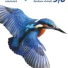 Biosphäre Sekundarstufe I 5./6. Schuljahr - Gymnasium Sachsen-Anhalt - Arbeitsheft-Cornelsen Verlag GmbH