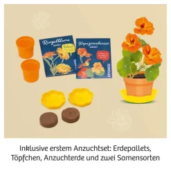 Blüten-Presse-Franckh-Kosmos Clearance