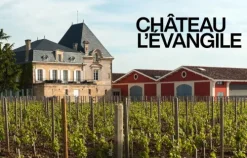 Bordeaux-Tre Torri Verlag GmbH Clearance