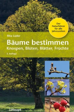 Bäume bestimmen - Knospen, Blüten, Blätter, Früchte-Haupt Verlag AG Best