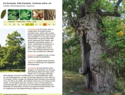 Bäume bestimmen - Knospen, Blüten, Blätter, Früchte-Haupt Verlag AG Best