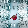 Adrian & Wimmelbuch DIG Der gefrorene Fluss