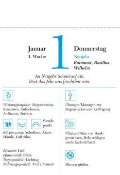 Südwest Der richtige Zeitpunkt 2026 - Tagesabreißkalender zum Aufstellen oder Aufhängen Clearance
