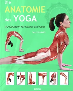 Die Anatomie des Yoga-Librero b.v. Hot