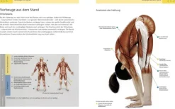 Die Anatomie des Yoga-Librero b.v. Hot