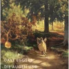 Kampa Verlag Die Augen und das Unmögliche Clearance