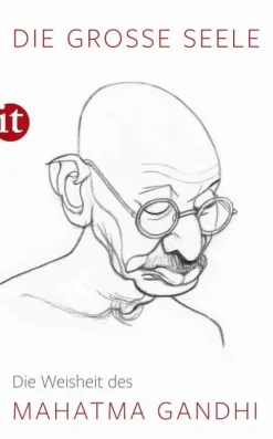 Die große Seele - Die Weisheit des Mahatma Gandhi-Insel Verlag GmbH