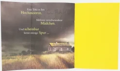 Die Suche-Blanvalet Taschenbuchverl