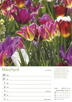 Ein Jahr in meinem Garten - Wochenkalender 2026 - Garten-Kalender mit 53 Blatt - Format 21,0 x 29,7 cm - Spiralbindung-Neumann Verlage GmbH & Co Best