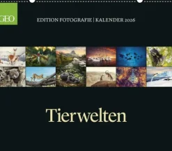 teNeues Calendars & Stationery GmbH & Co. KG GEO - GEO Edition: Tierwelten 2026 - Wandkalender 70x60 cm, Tier-Poster-Kalender mit Wildlife-Fotografie, 12 Monatsblätter & Spiralbindung inkl. Postkarten für Tier- und Naturfreunde Best
