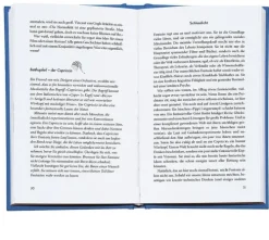 Droemer Taschenbuch Gute Nacht, Gehirn New