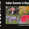 Indian Summer in Bayern-BoD - Books on Demand Outlet