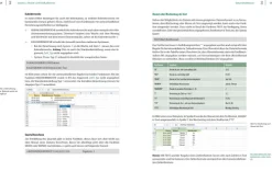 BILDNER Verlag Landwirtschaftssimulator 22 - Der inoffizielle Guide Best