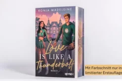 Heyne Taschenbuch Love is like a Thunderbolt