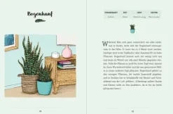 Groh Verlag Mein Garten auf der Fensterbank Online