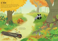 Mein Immer-wieder-Stickerbuch: Tiere der Welt-Usborne Verlag Best