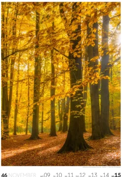 Ackermann Kunstverlag Natur Wochenkalender 2026 Hot