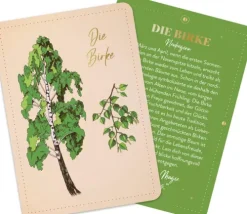 Orakelkarten: Die verborgene Kraft der Bäume-Groh Verlag Online