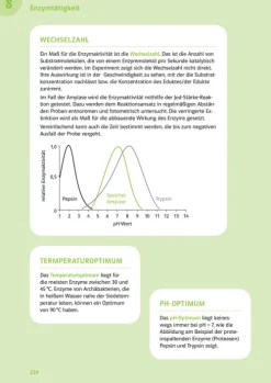 Klett Lerntraining PONS Der große Abi-Check Chemie