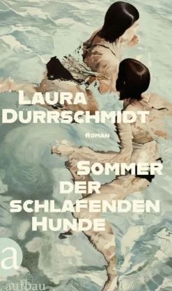 Aufbau Digital Sommer der schlafenden Hunde Outlet