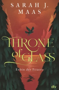 dtv Verlagsgesellschaft Throne of Glass - Erbin des Feuers