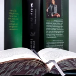 dtv Verlagsgesellschaft Throne of Glass - Erbin des Feuers