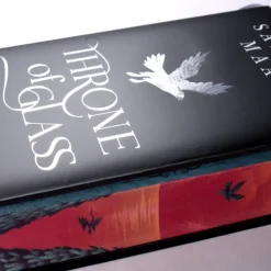 dtv Verlagsgesellschaft Throne of Glass - Erbin des Feuers
