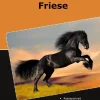 Traumrasse Friese-BoD - Books on Demand Clearance