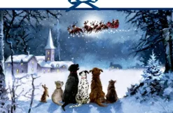 Wandkalender - Wunderbare Hunde-Weihnacht-Coppenrath Online