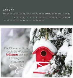 Wandkalender Gartenglück 2026-Ars Edition GmbH Discount