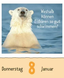 Wie faul ist das Faultier? 2026-Korsch Verlag GmbH Hot