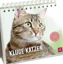 Groh Verlag Wochenkalender 2026: Kluge Katzen Online